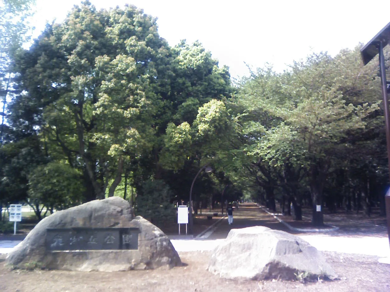 Archival photograph of Hikarigaoka Park, Tokyo (2009)