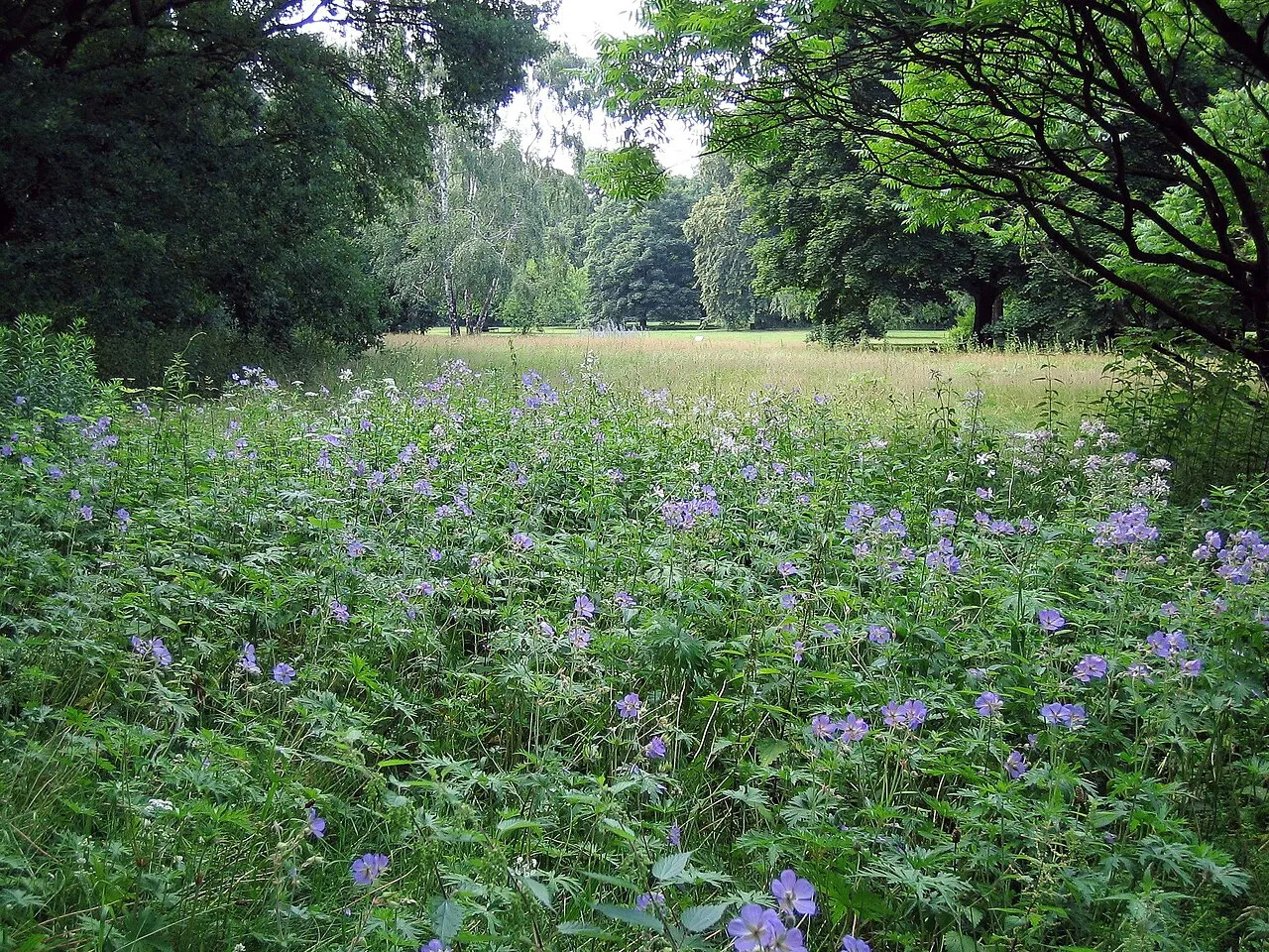 Archivaufnahme: Großer Tiergarten