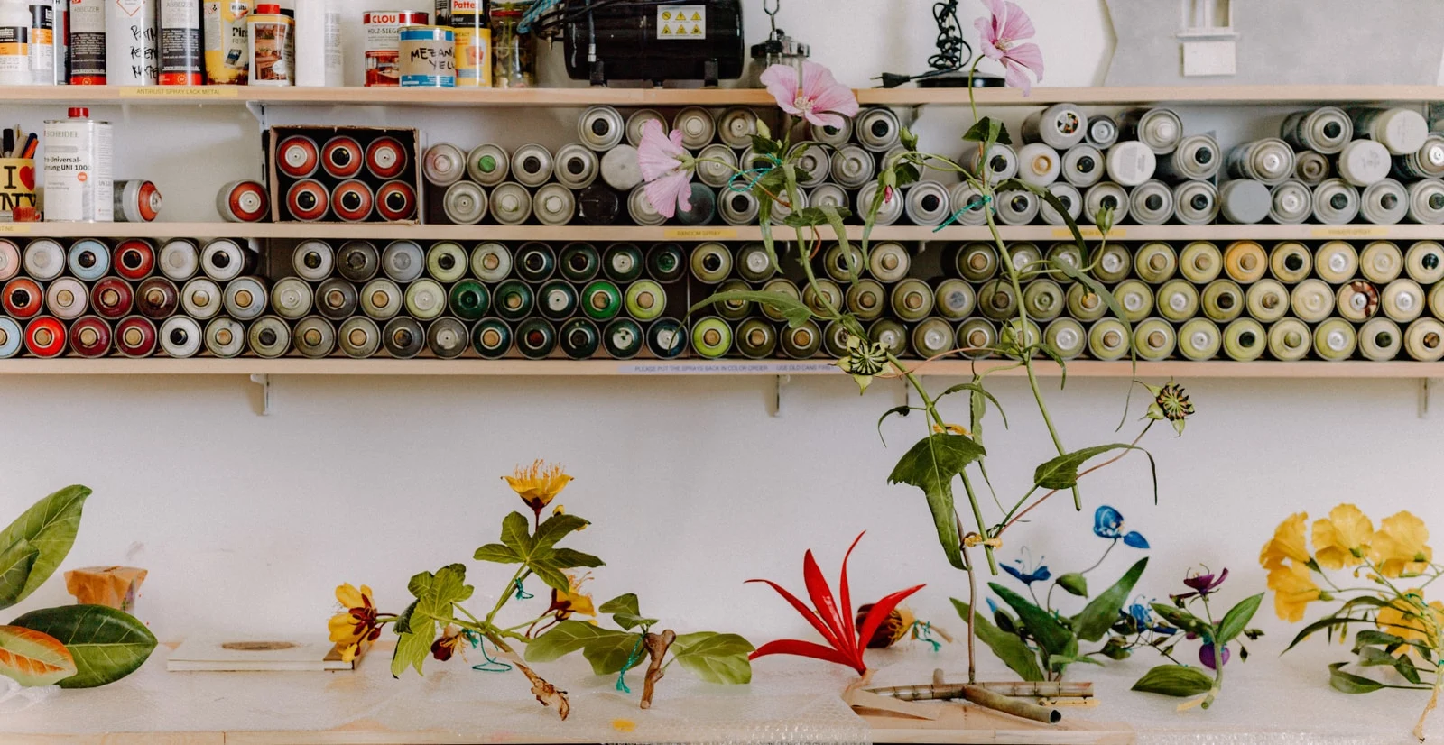 Álvaro Urbano’s 2026 studio view with botanical sculptures, used to announce Helen at Museo Jumex.