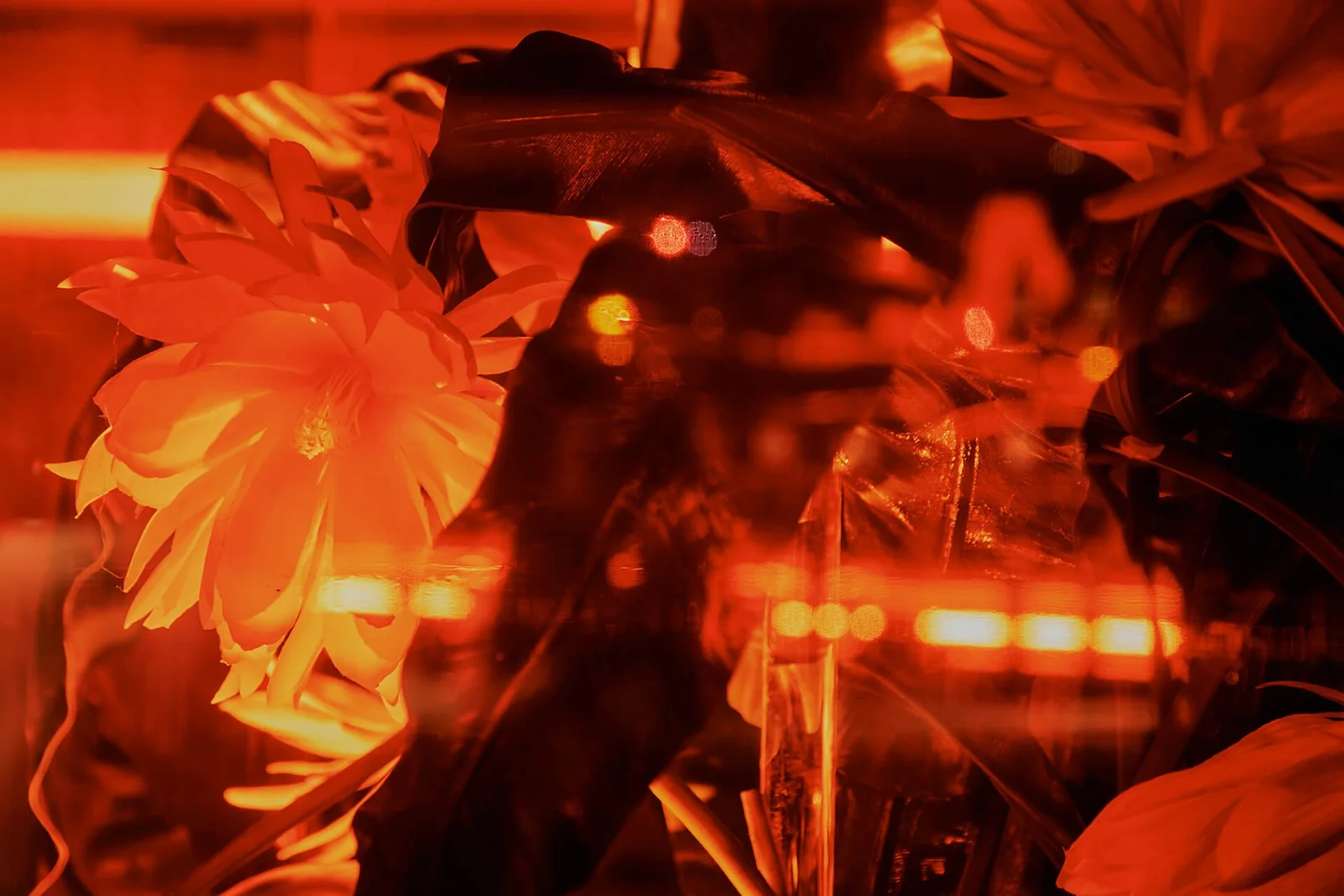 The warmly lit bar and decorative flower at Mitsuki in Shibuya