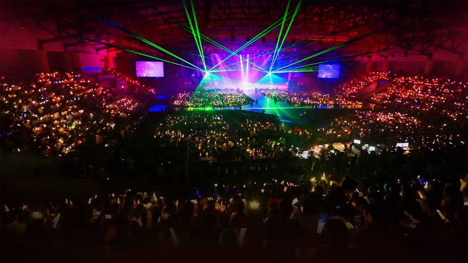 Thunder Dome: the arena crowd beneath concert lights, shown on its official website