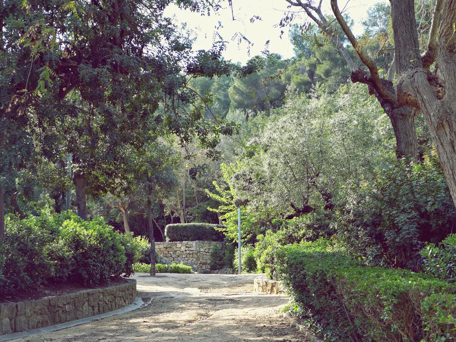 Parc del Guinardó: a shaded path and stone steps through the green hillside park
