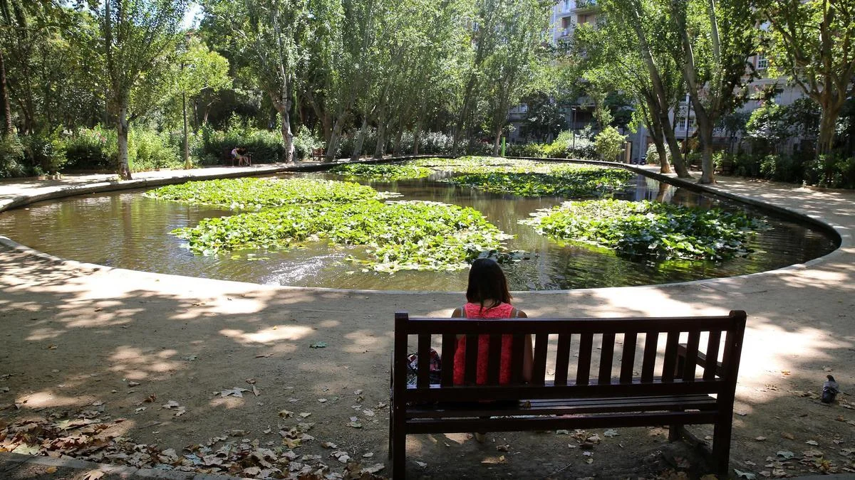 Turó Park: a shaded bench overlooking the park's lily pond