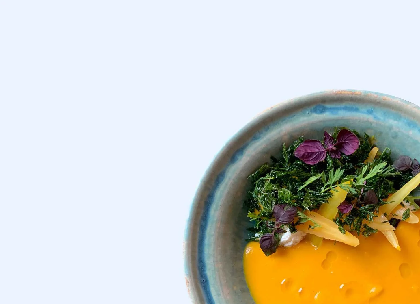 Virens: a brightly coloured dish on a pale background, shown on its official website