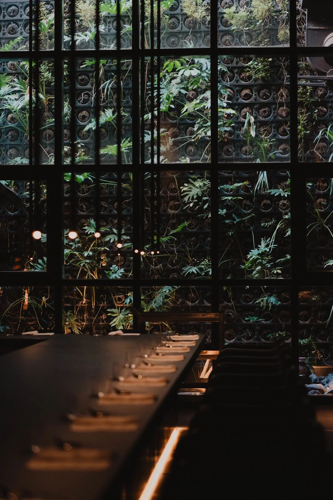 Dining seats beside tall leafy windows at Han