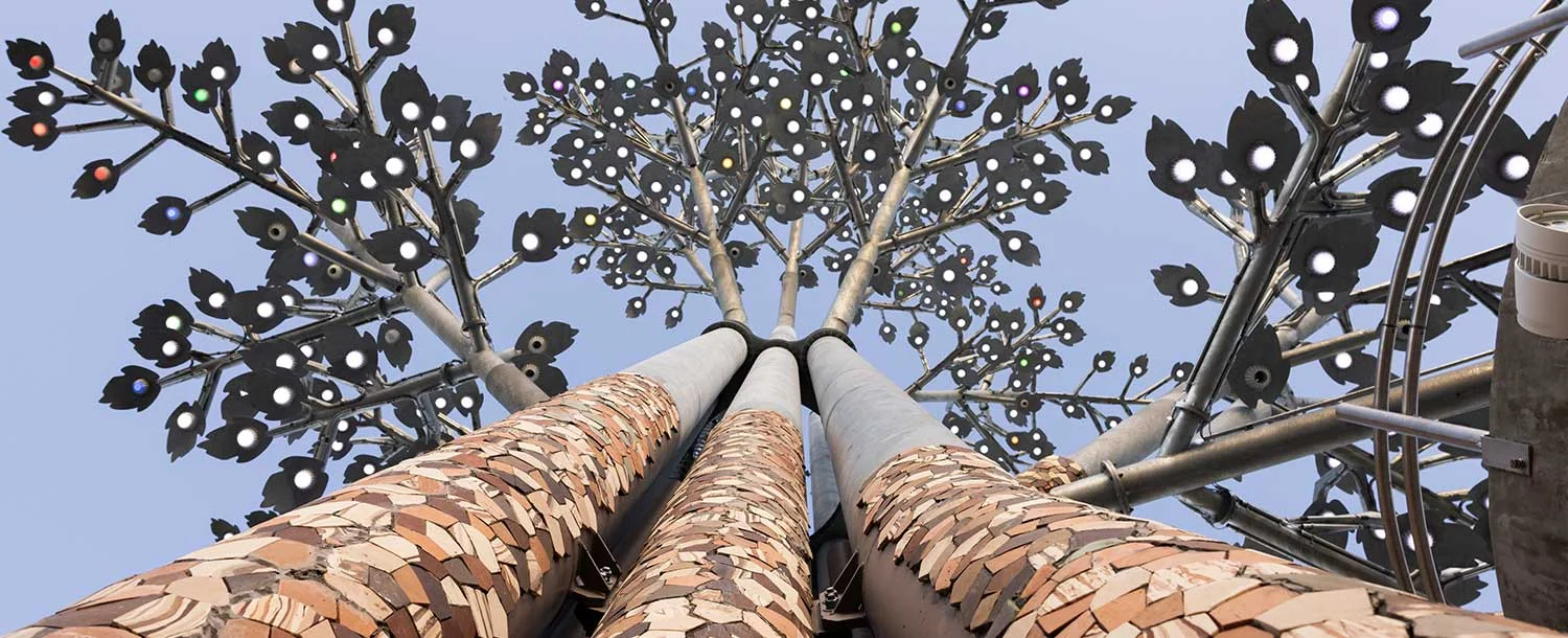 A sculptural tree canopy viewed from below at Parque de Innovación