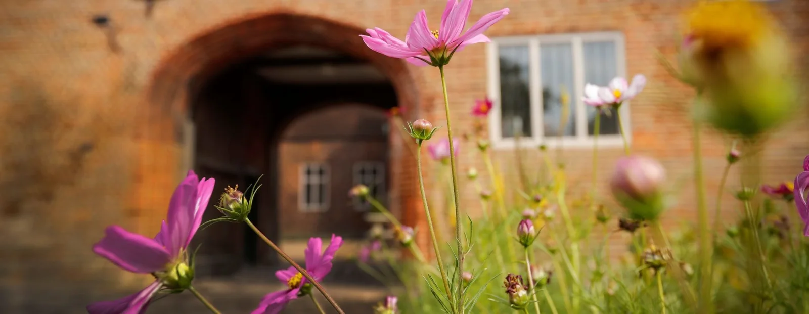 Flowers beside the palace courtyard at Fulham Palace