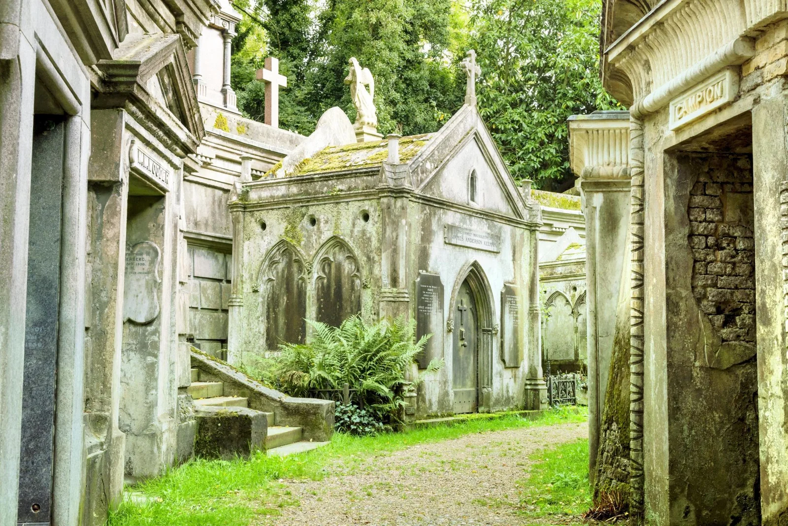 Highgate Cemetery: ivy-covered stone tombs lining a green cemetery passage