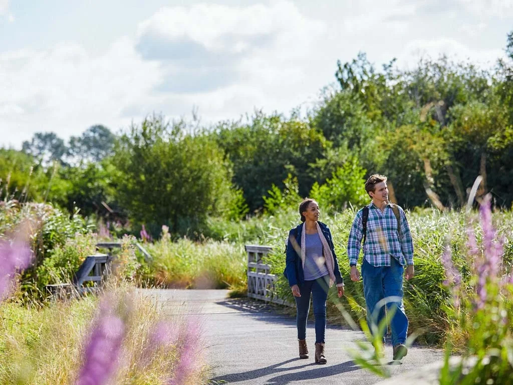 Visitors walking through planted paths at London Wetland Centre