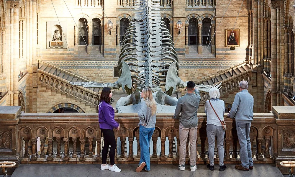 Visitors beneath the suspended whale skeleton in Hintze Hall at Natural History Museum