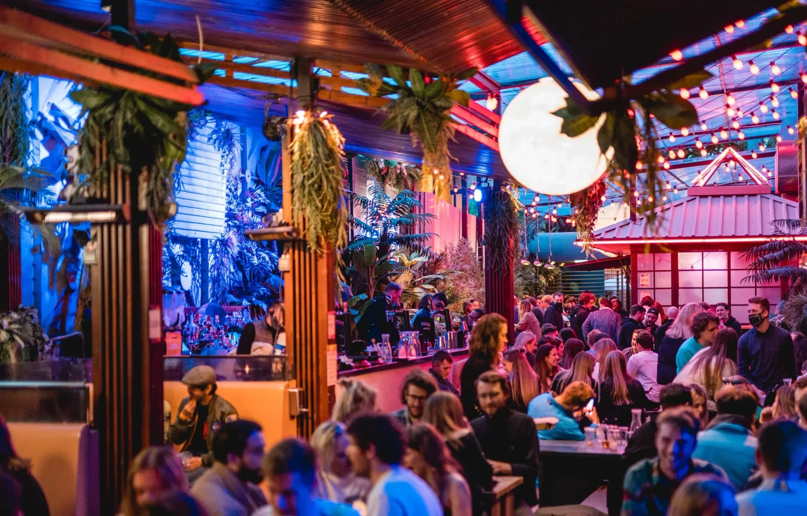 Guests beneath colourful lights in the outdoor bar at Night Tales