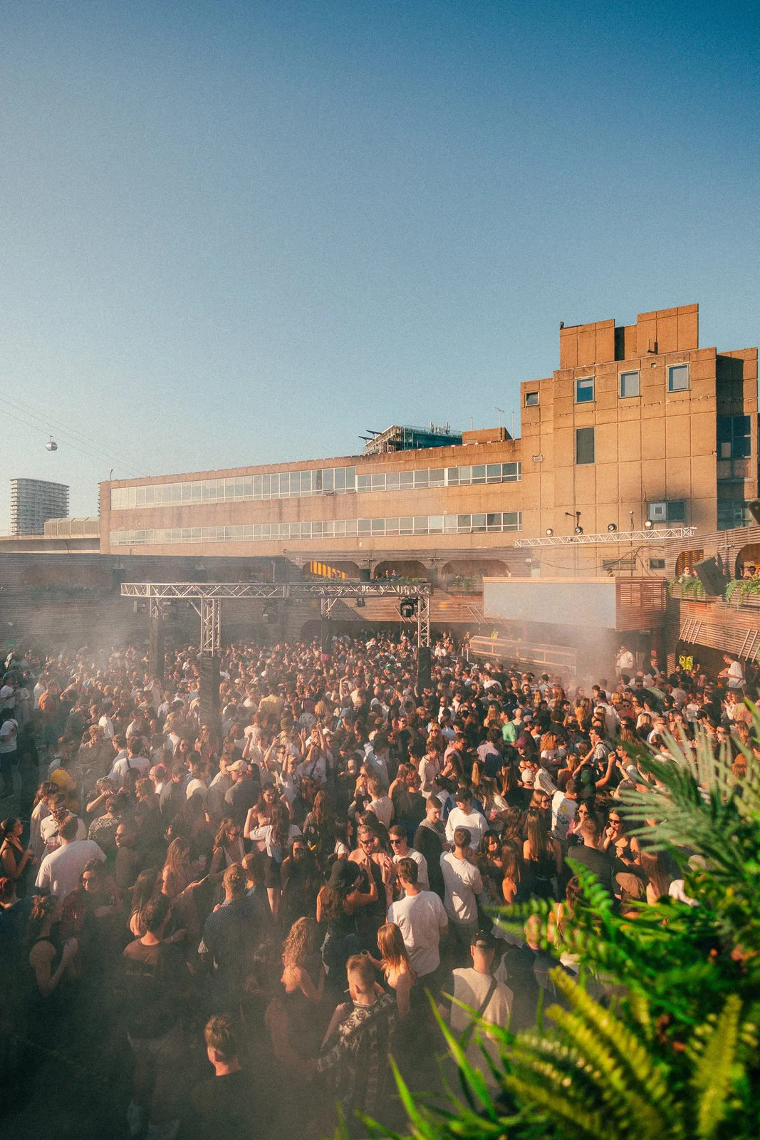 The Cause: an outdoor crowd at a daytime music event, shown on its official website