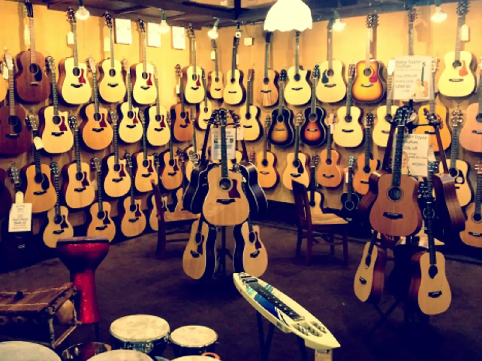 Guitars displayed across the shop walls at McCabe's Guitar Shop