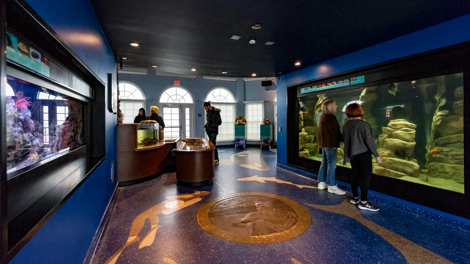 Roundhouse Aquarium: visitors exploring the aquarium's illuminated marine exhibits