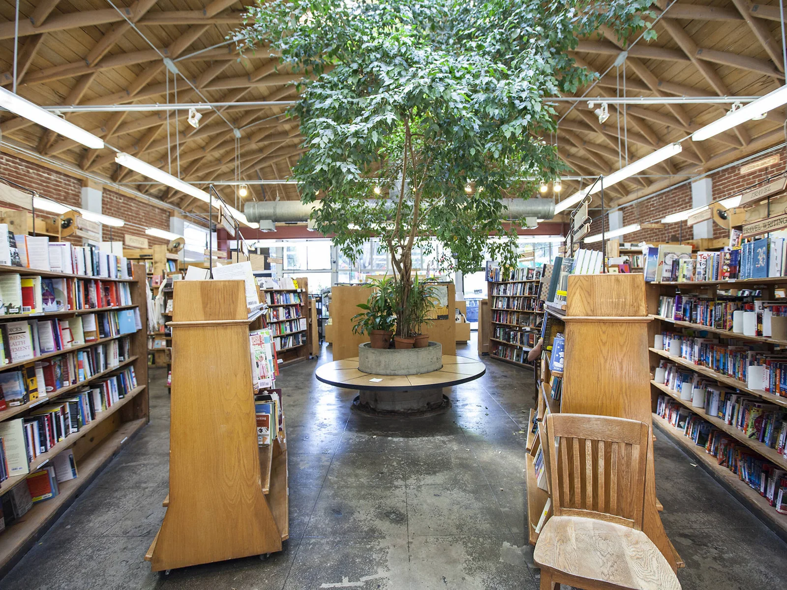 Skylight Books: bookshelves arranged around the bookstore's central tree and skylight