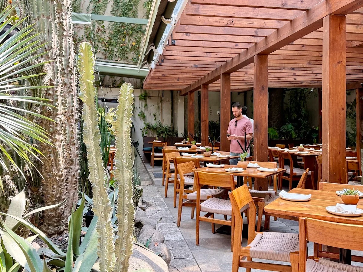 Botánico : Patio (imagen del sitio oficial)
