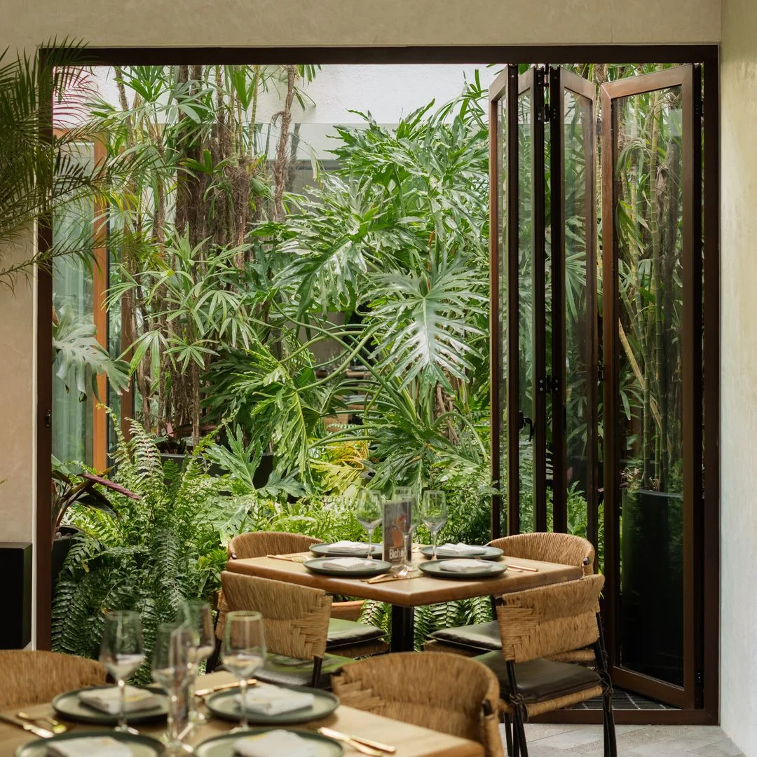 Los Danzantes Mexico City: plant filled dining area