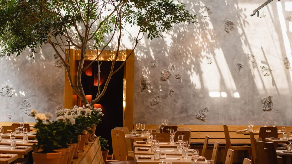 Máximo : Interior (imagen del sitio oficial)