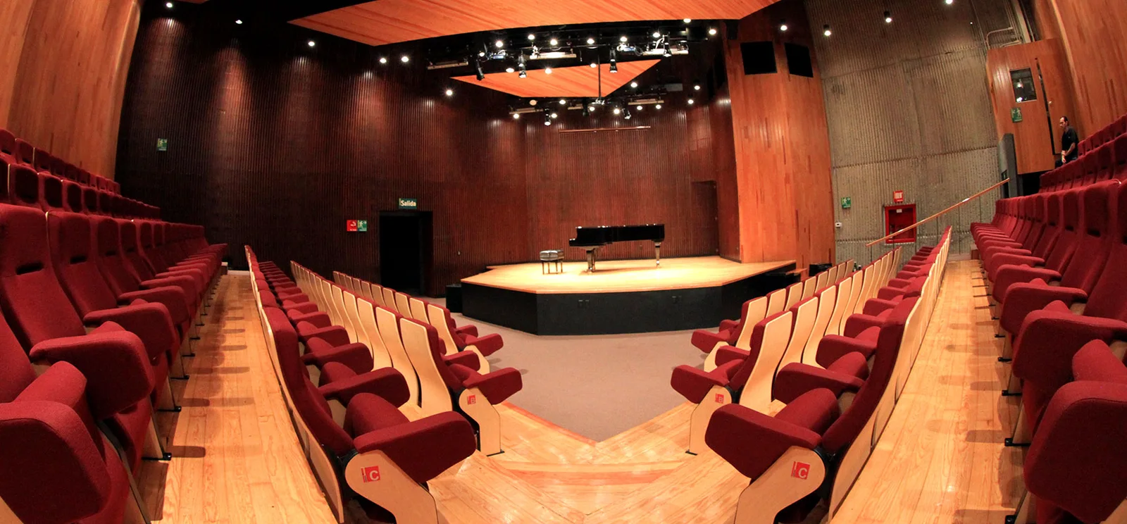 Sala Carlos Chávez, UNAM : Interior