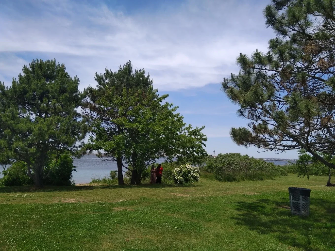 Bayswater Point State Park: a grassy waterfront clearing framed by trees