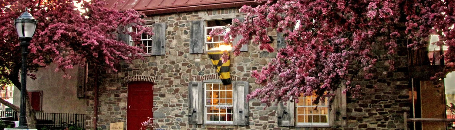 The stone house framed by flowering trees at Old Stone House