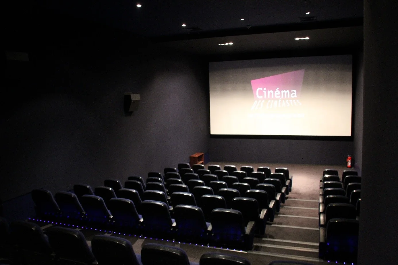 Dark cinema seats facing a projection screen at Cinéma des Cinéastes
