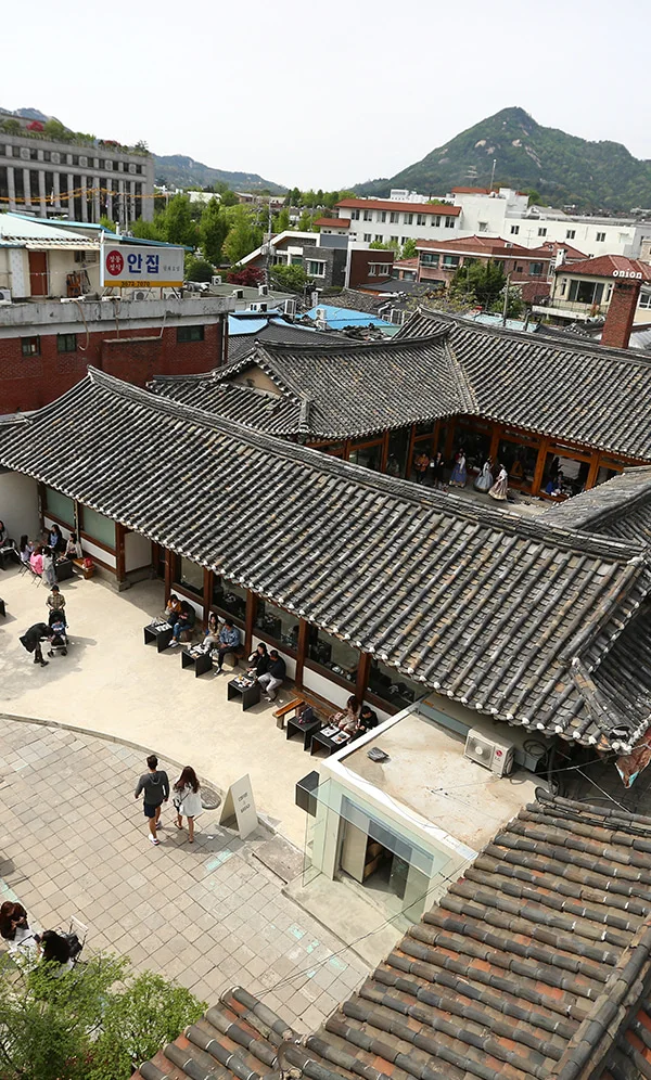 카페 어니언 안국 : 안뜰