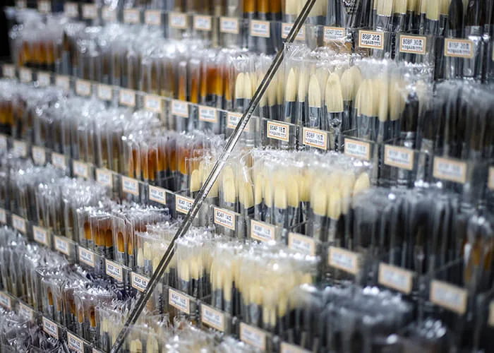 Rows of artists' brushes inside the shop at Homi Art Shop