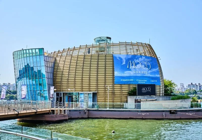 Sebitseom: floating island building beside the river