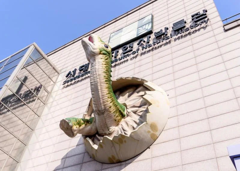Seodaemun Museum of Natural History: natural history museum facade and dinosaur sculpture