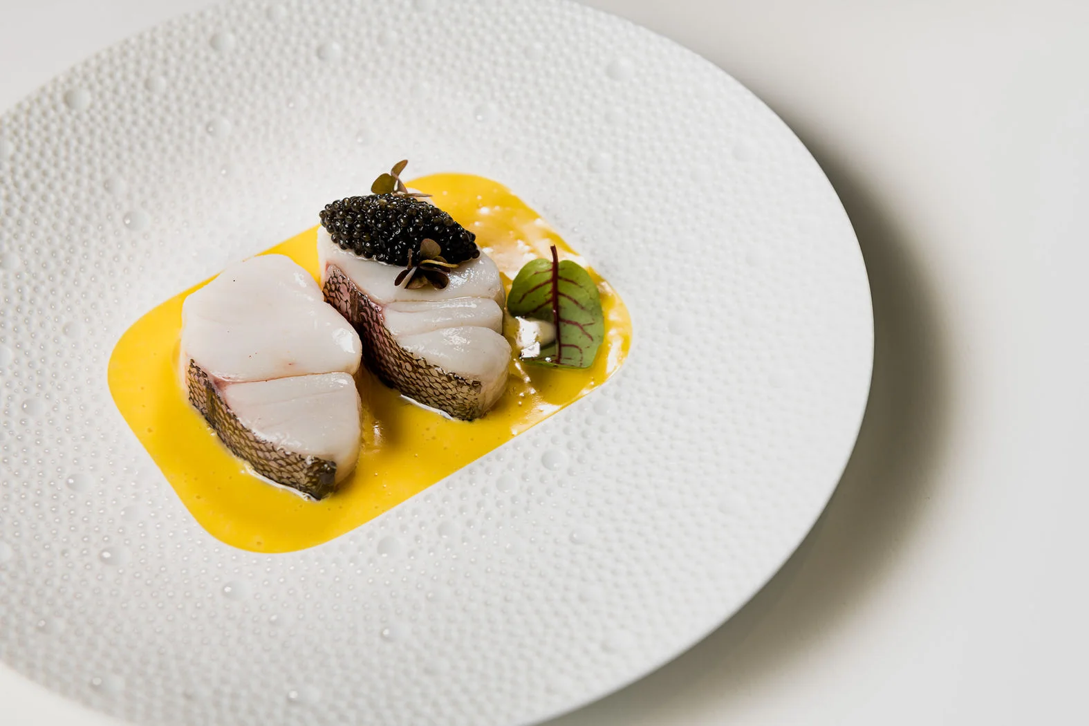 Toc Toc: a carefully plated dish with a bright yellow sauce, shown on its official website