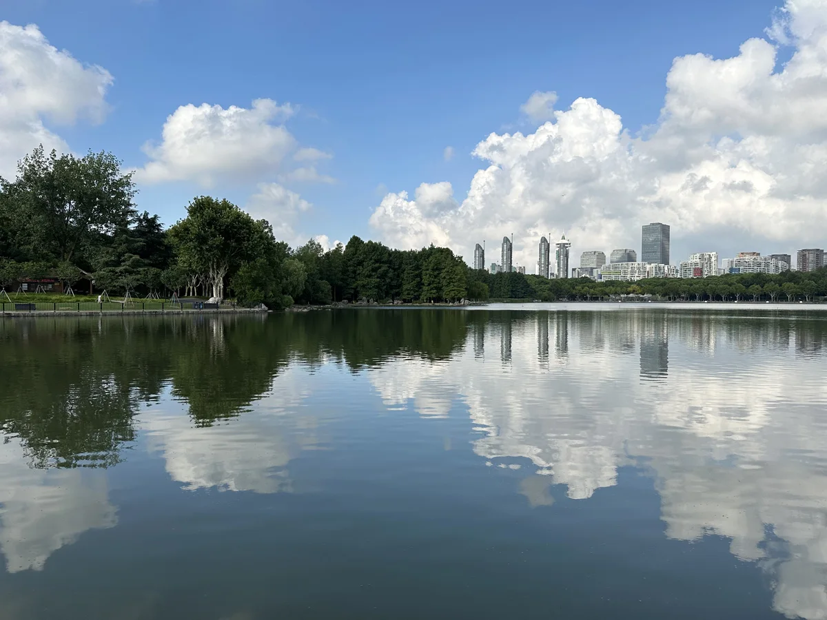 Century Park: the park lake reflecting trees and the blue sky