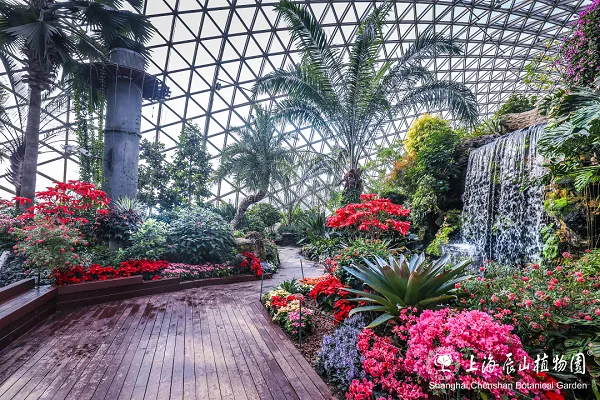 Chenshan Botanical Garden: glasshouse garden with flowers and palms