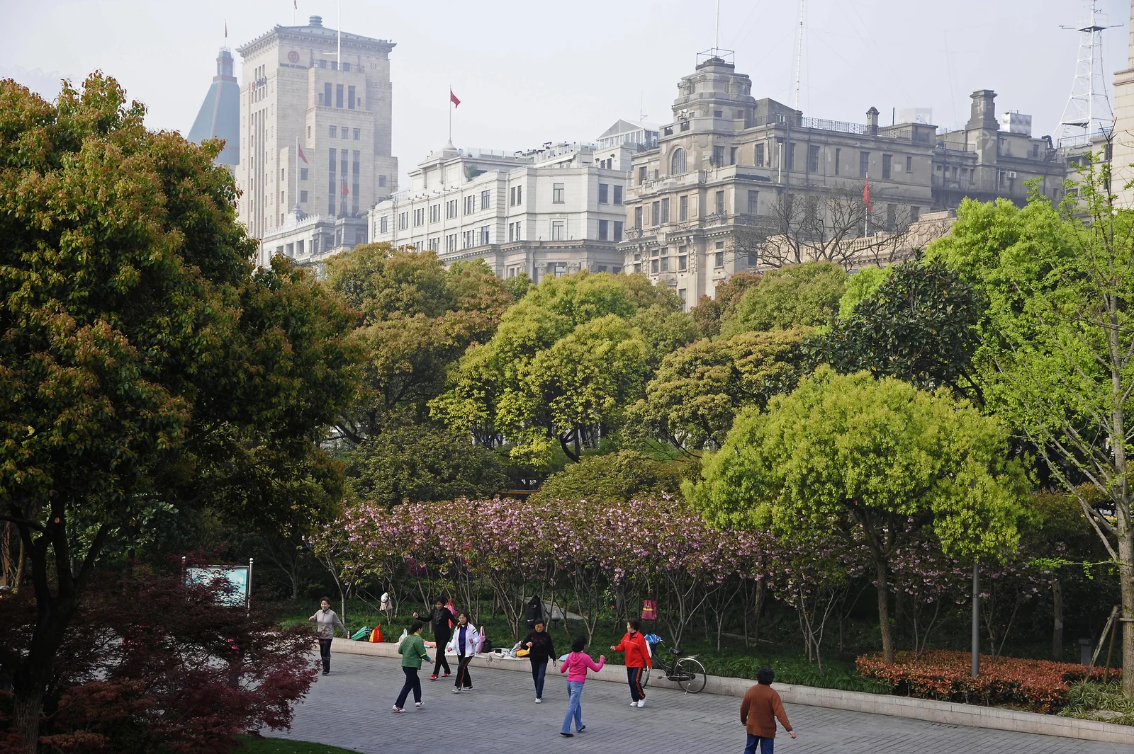 Huangpu Park: visitors on the park paths beneath mature trees