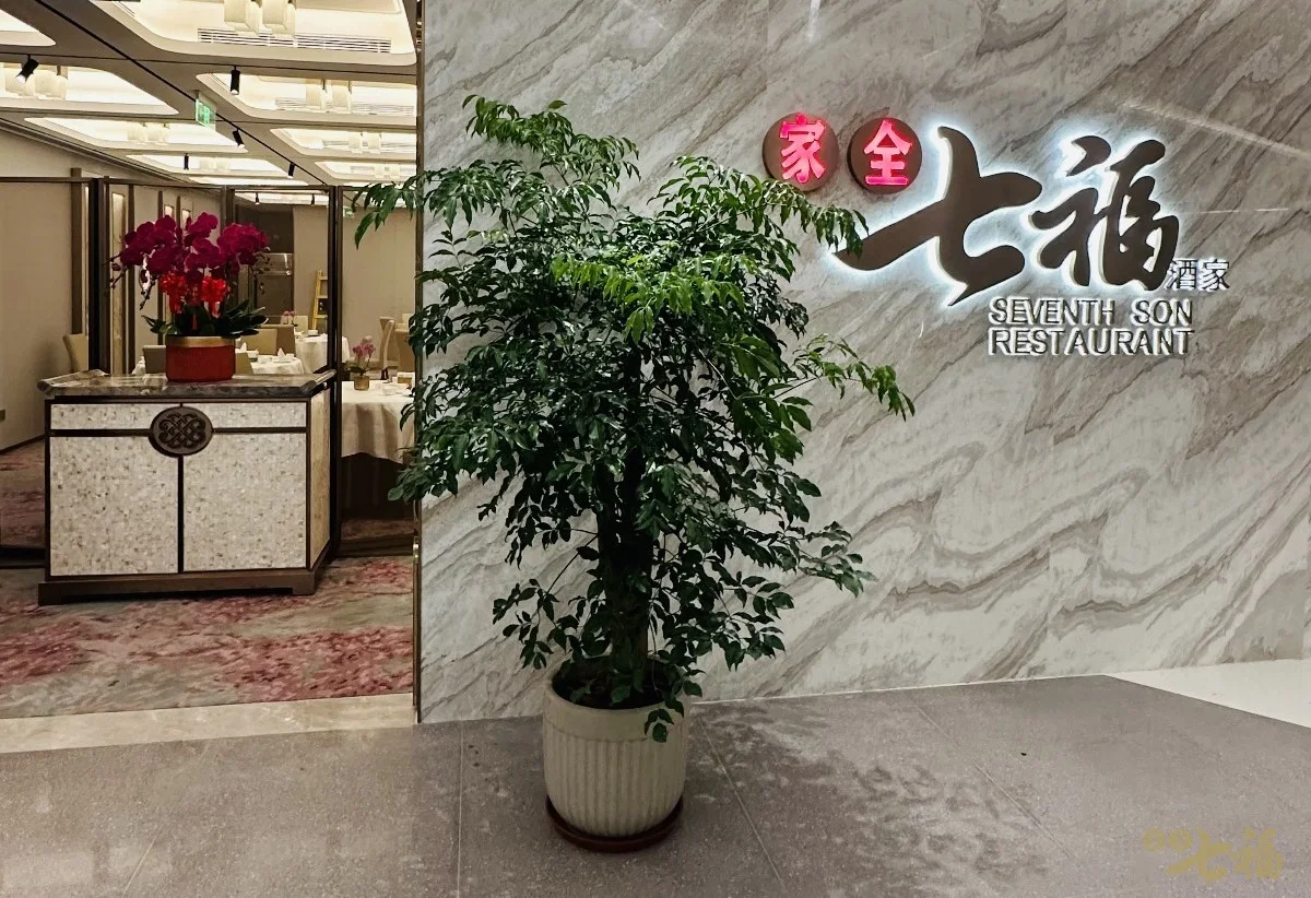 Seventh Son : 外观 (官方网站图片)