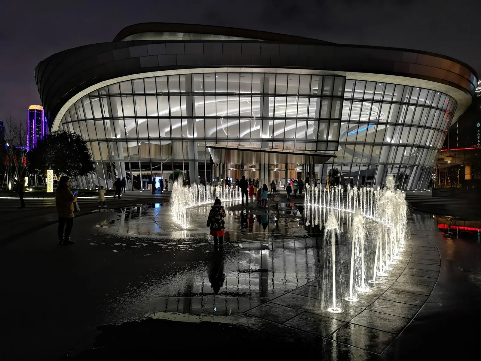 Shanghai International Dance Centre: the illuminated glass performance hall reflected beside fountain jets