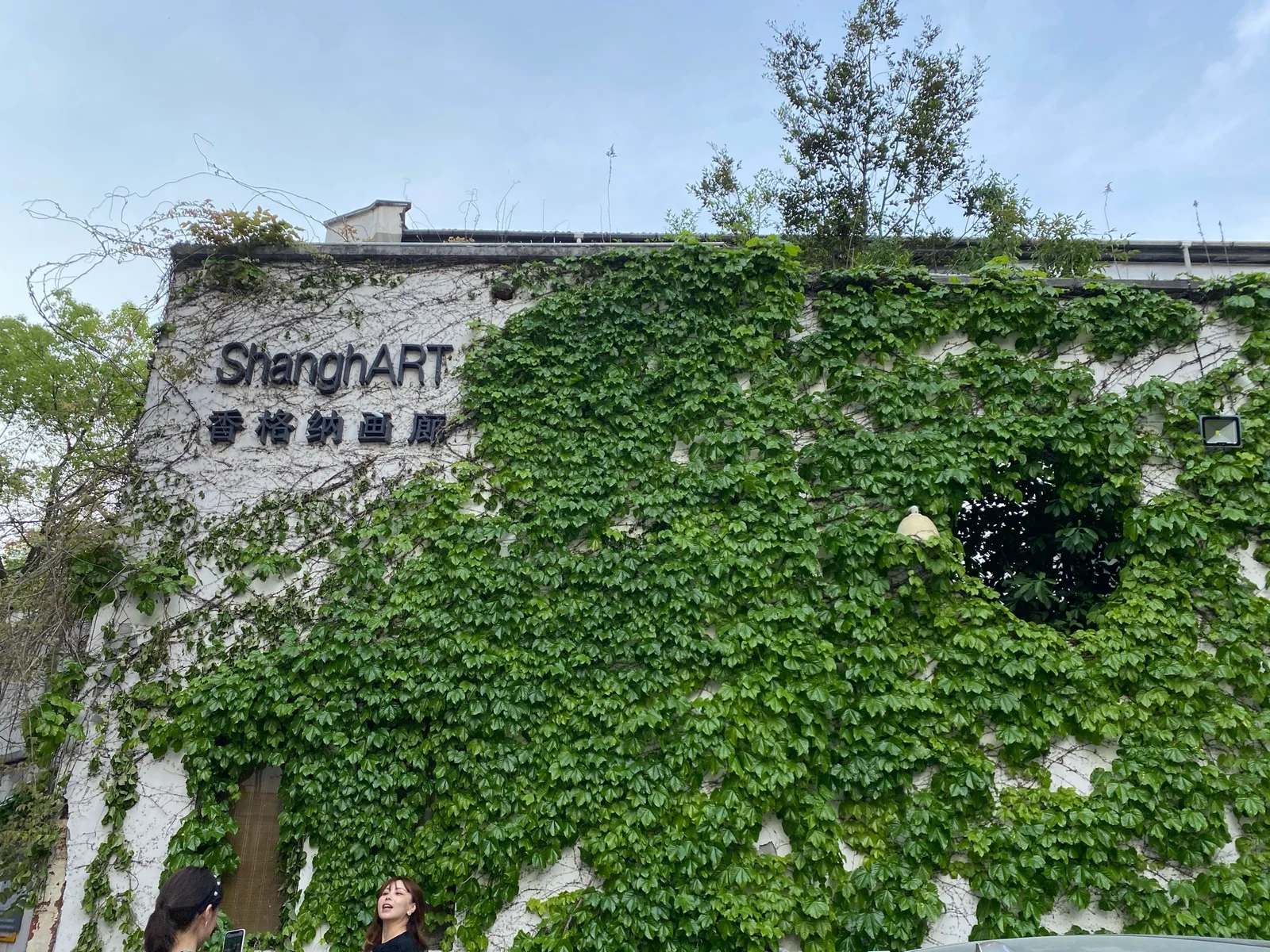 ShanghART M50: the ivy-covered gallery facade at M50