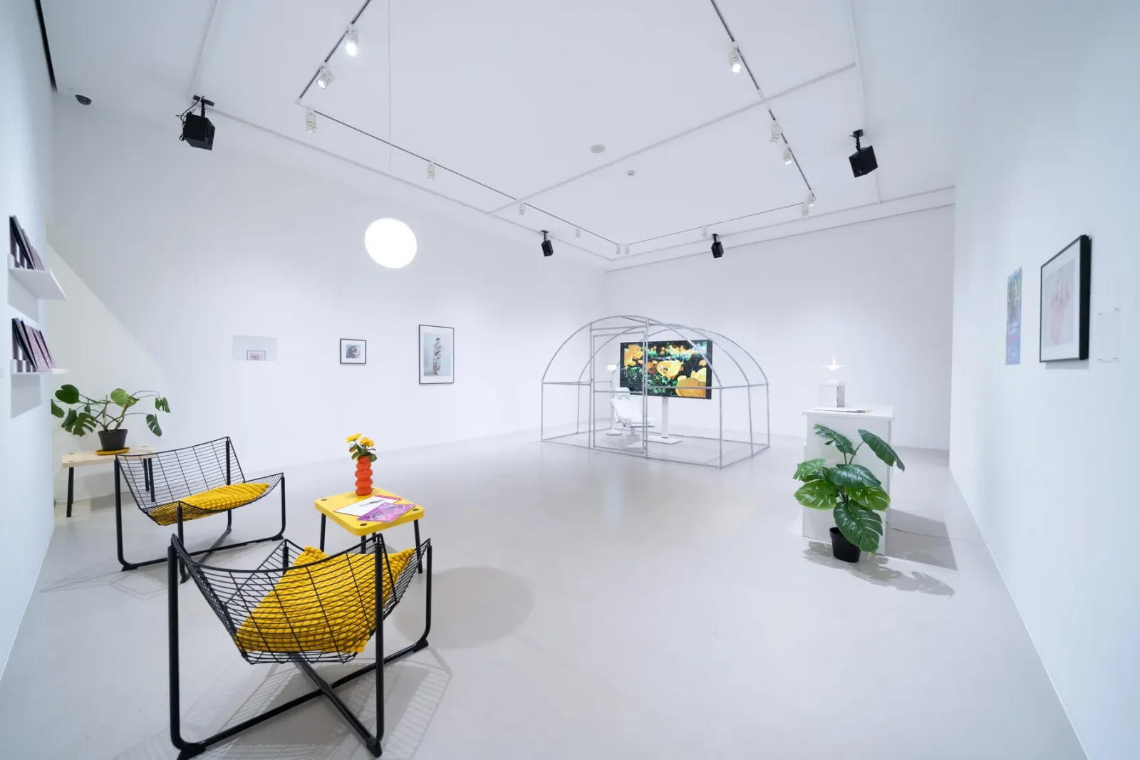 Garde Art Gallery: the bright gallery interior with an exhibition installation