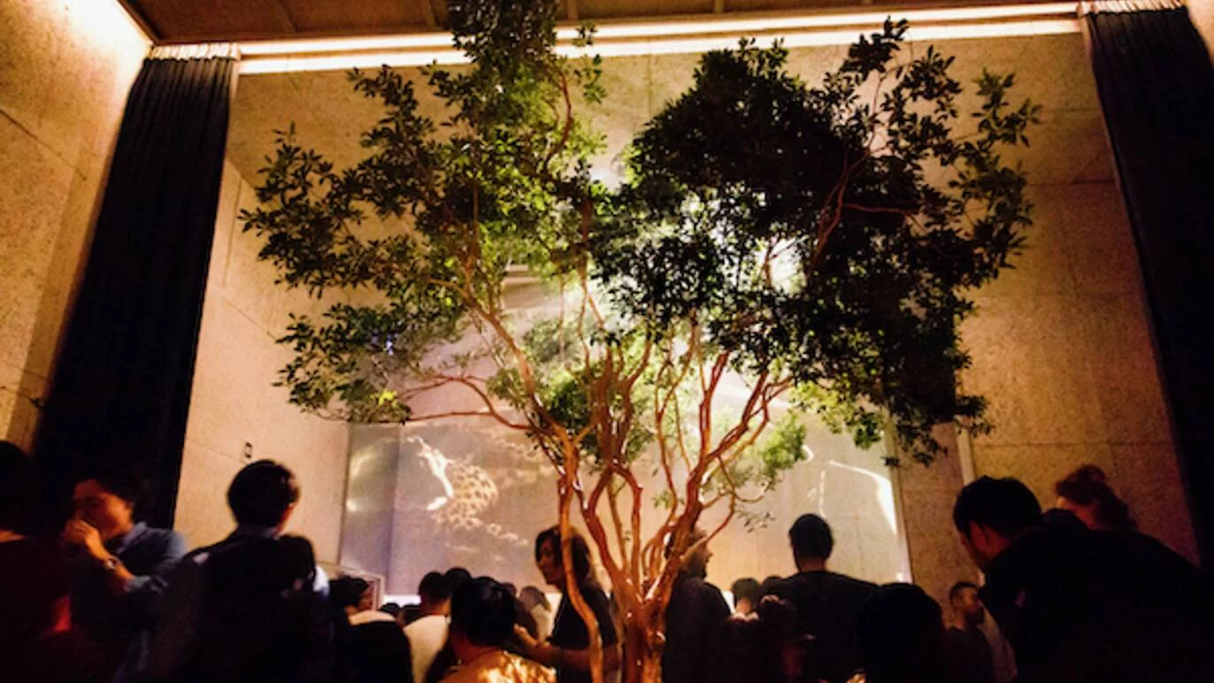 VENT: visitors gathered in the softly lit lounge around an indoor tree