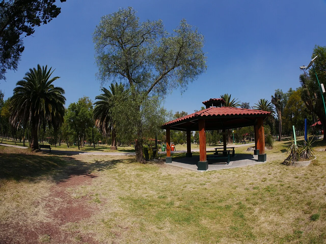 Vista de Bosque de San Juan de Aragón (2019)