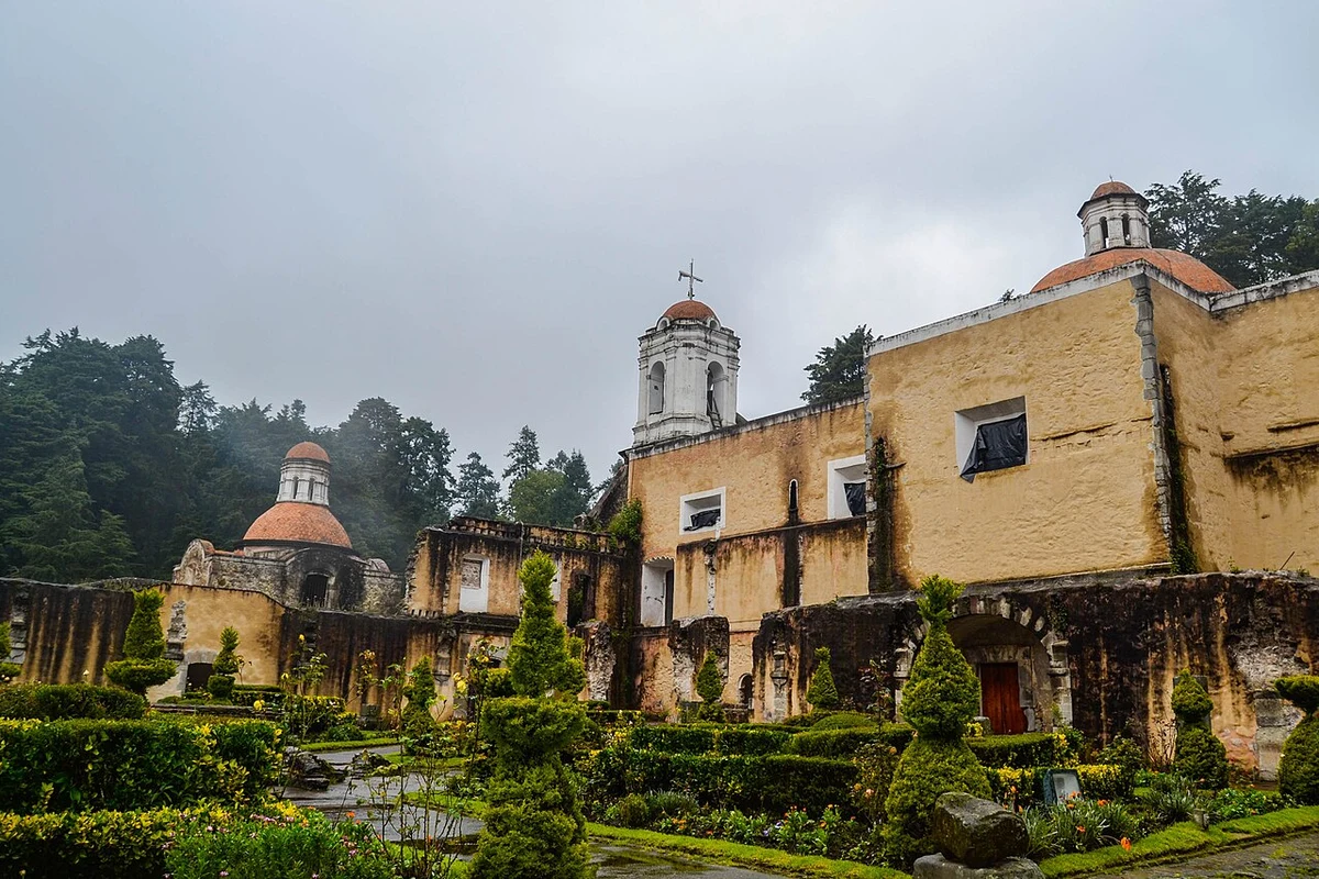 Jardín de Desierto de los Leones (2010)