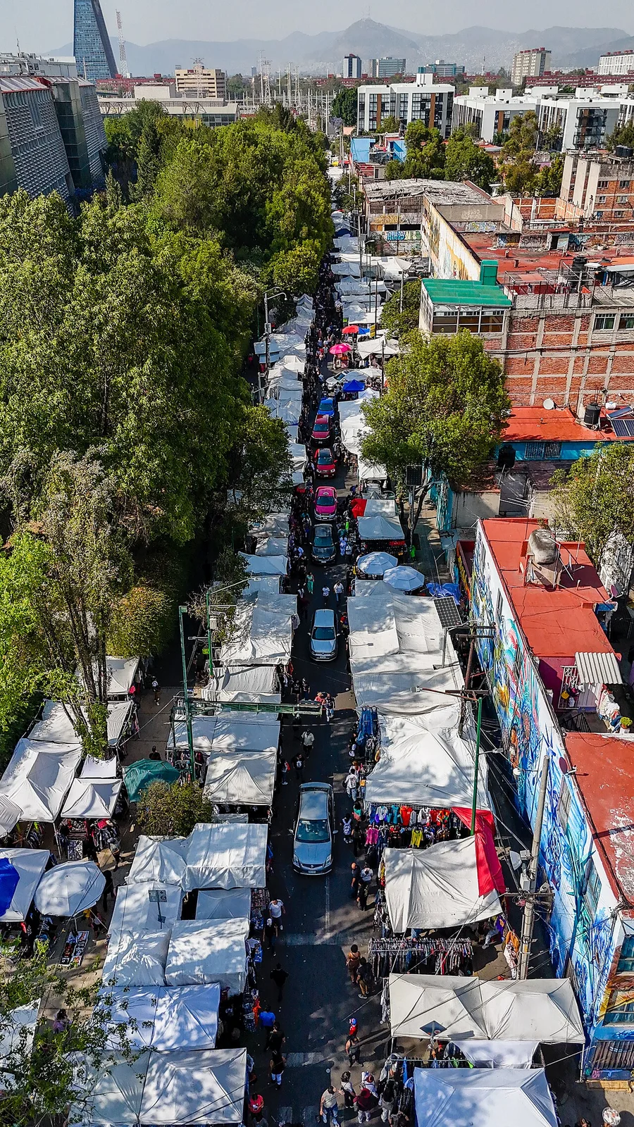 Vista aérea de Tianguis Cultural del Chopo (2025)