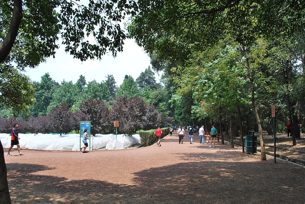 Vista de Viveros de Coyoacán (2009)