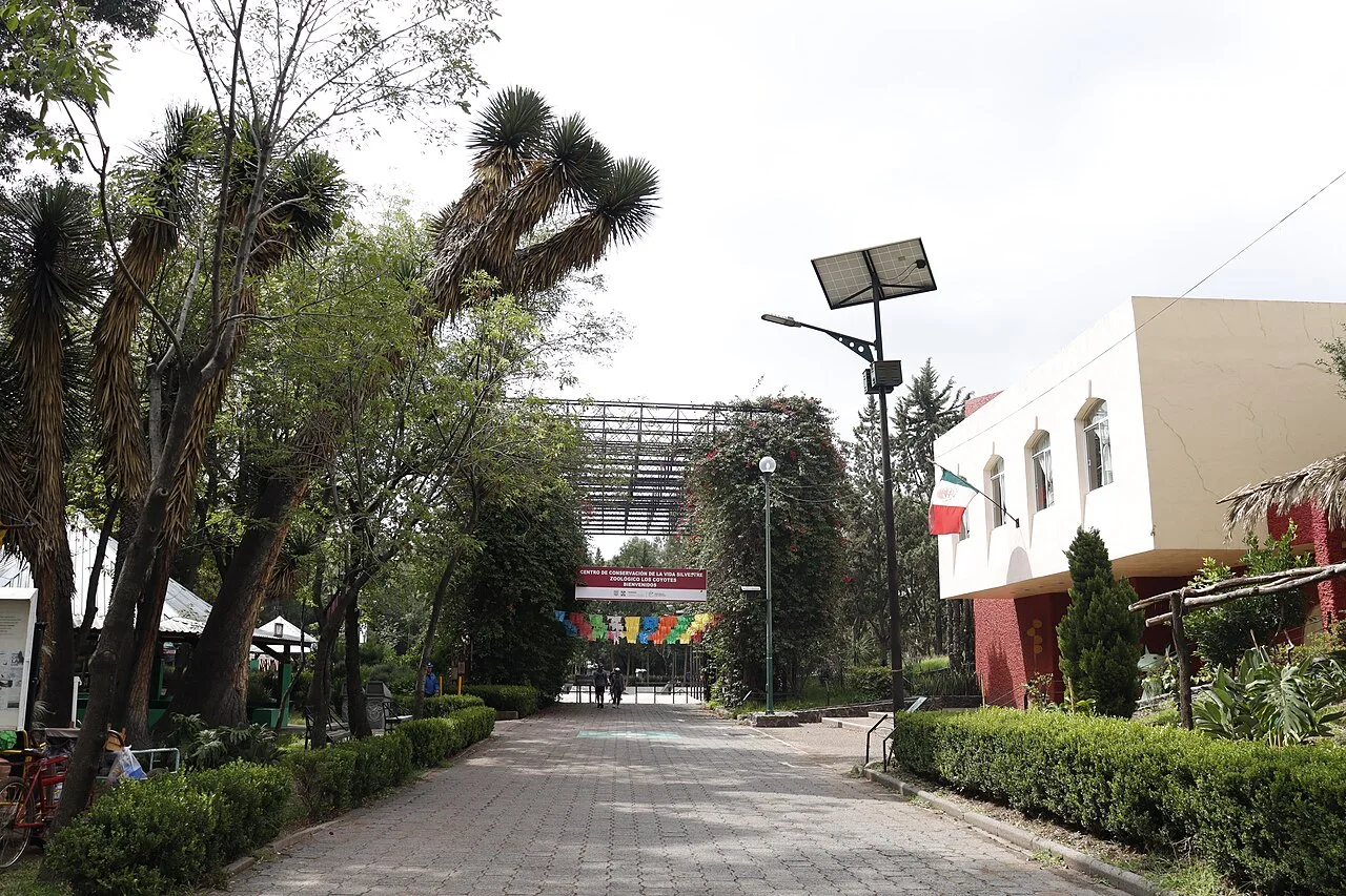 A view of Zoológico Los Coyotes (2023)