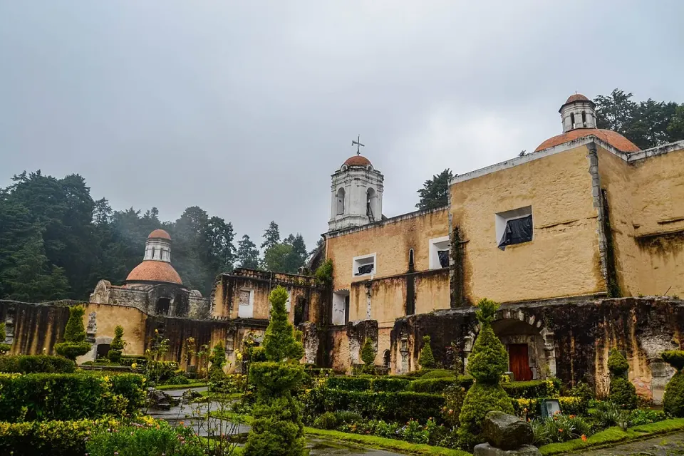 Jardín de Desierto de los Leones (2010)