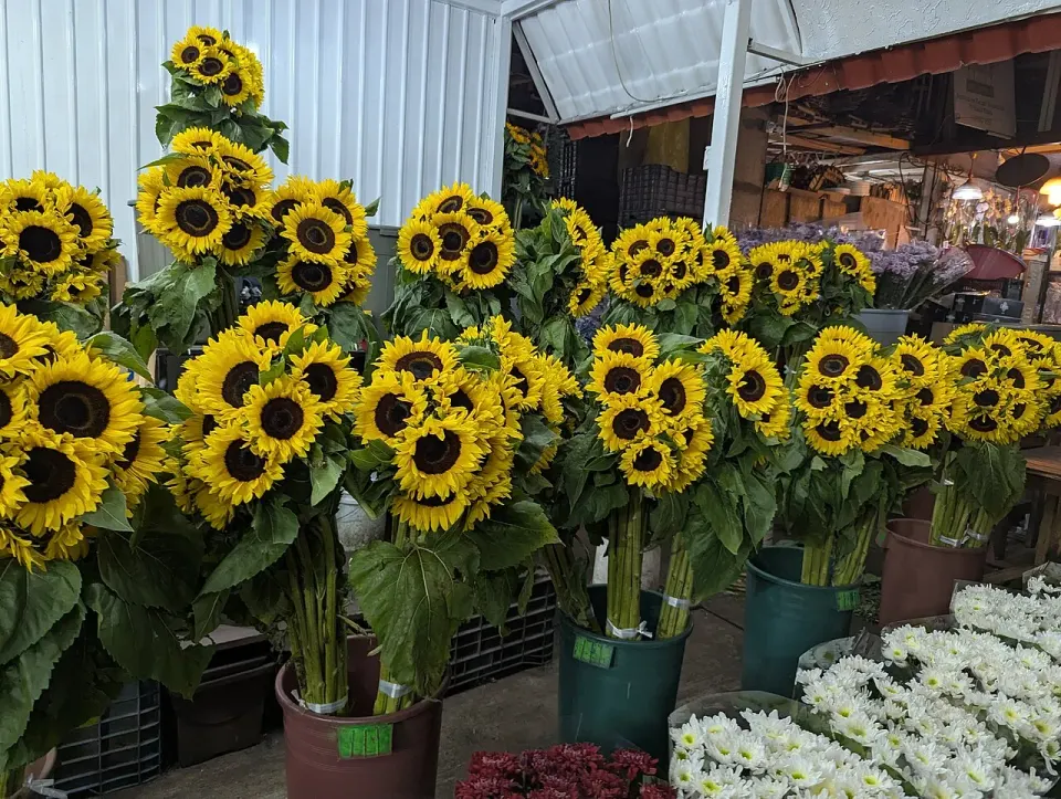 Escena en Mercado Jamaica (2025)
