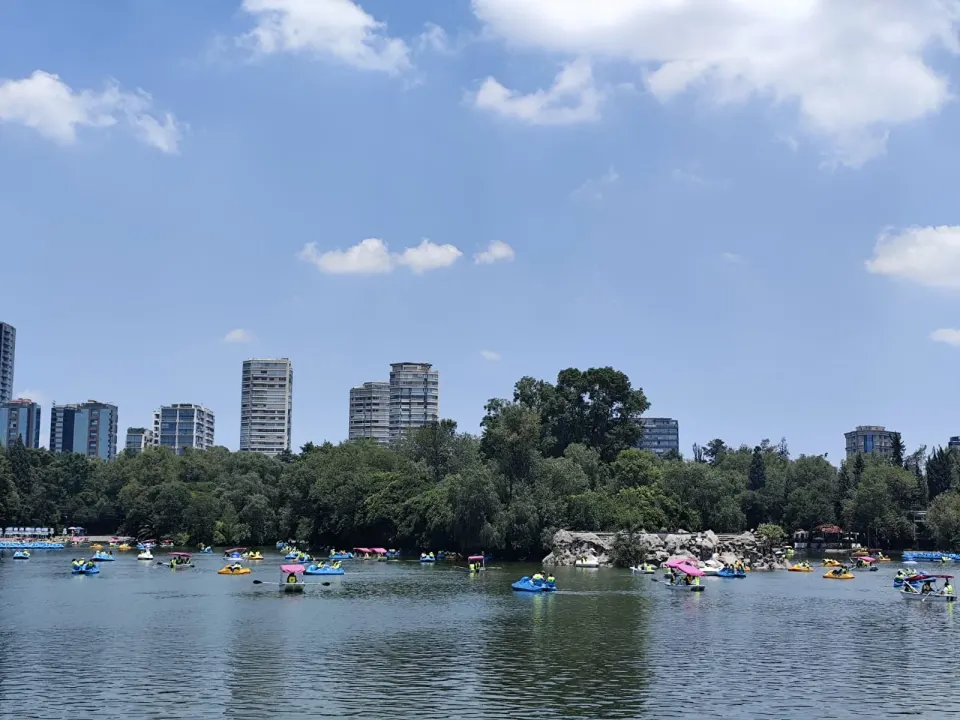 Lago de Chapultepec en la Primera Sección, fotografiado en agosto de 2025