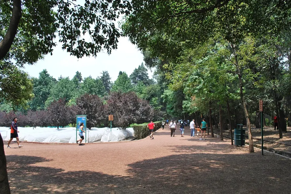 Vista de Viveros de Coyoacán (2009)