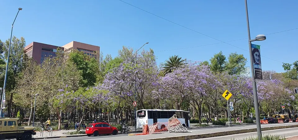Vista de Alameda Central (2024)