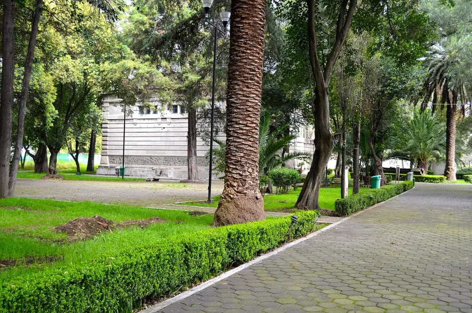 Jardín de Museo Arqueológico de Xochimilco (2015)